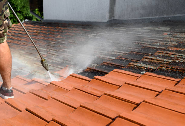 Best Fence Pressure Washing  in Brooklyn Center, MN
